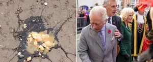 Hombre arroja huevos al rey Carlos III y a su esposa