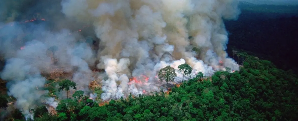 Venezuela llama a frenar la destrucción del Amazonas