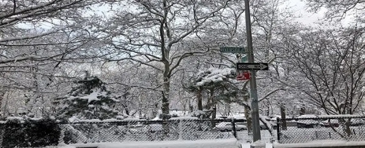 Declaran emergencia por gran tormenta de nieve en Nueva York