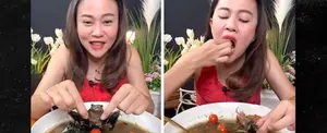 Bloguera tailandesa enfrenta prisión por grabarse comiendo murciélagos