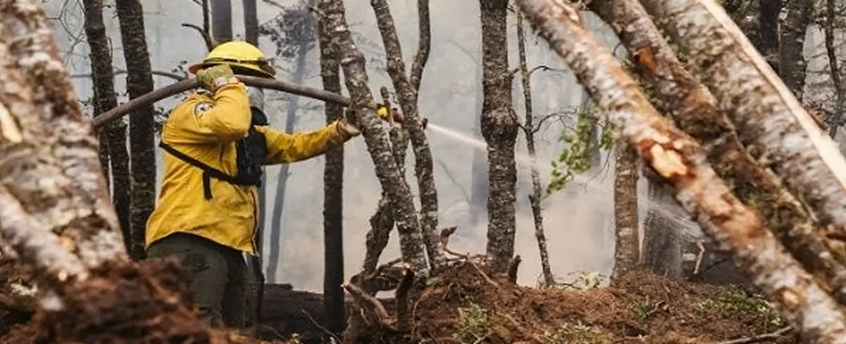 Argentina: incendio forestal deja 8 mil hectáreas afectadas