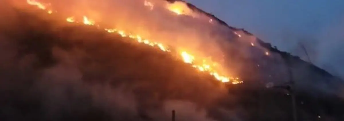 Bomberos controlan incendio en zona forestal de Río de Janeiro