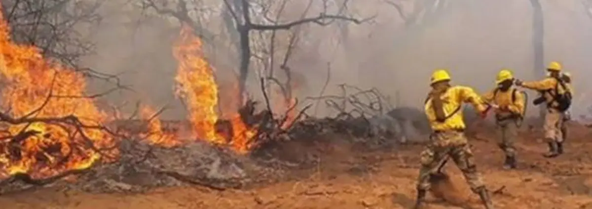 Nueve mil familias afectadas por incendios en los Yungas, Bolivia