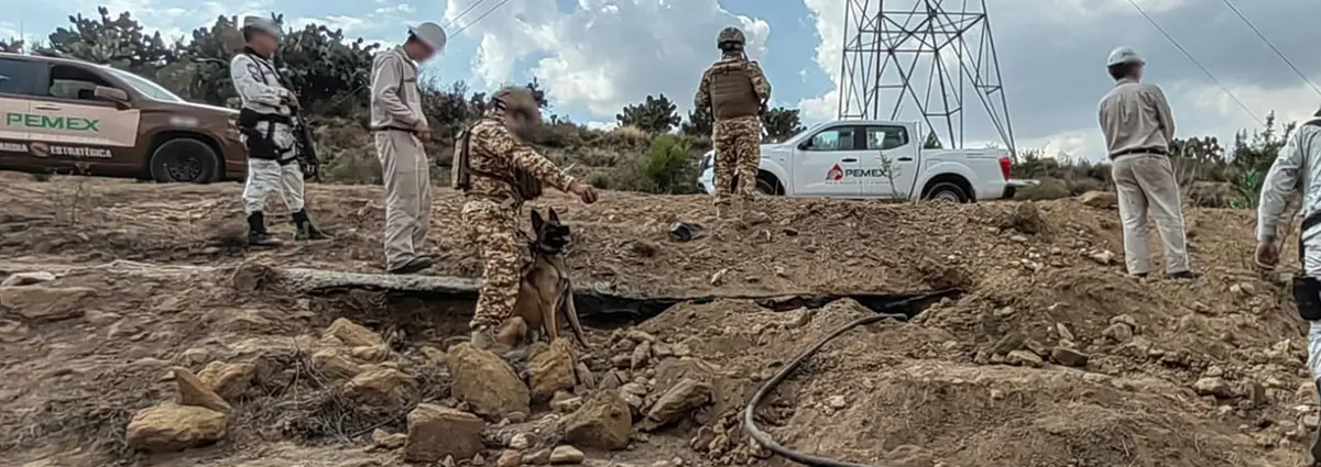 Guardia Nacional inhabilita varias tomas clandestinas de hidrocarburo en México