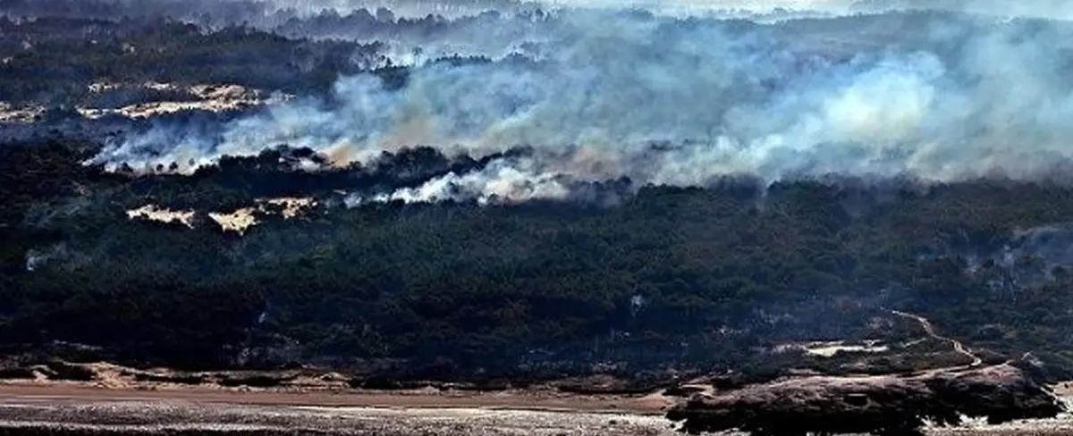 Bomberos combaten incendios forestales en Uruguay