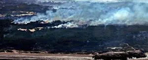 Bomberos combaten incendios forestales en Uruguay