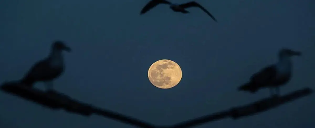 La Luna del Lobo, será visible este 7 de enero