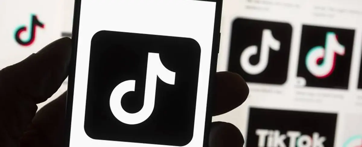 SnapTikVideo para descargar gratis canciones y videos de TikTok