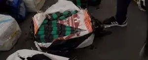 Decomisan 242 paquetes de presunta cocaína en República Dominicana