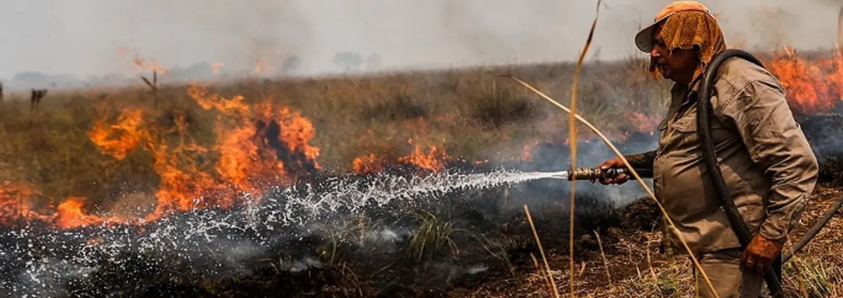 Combaten incendios forestales en varias provincias argentinas