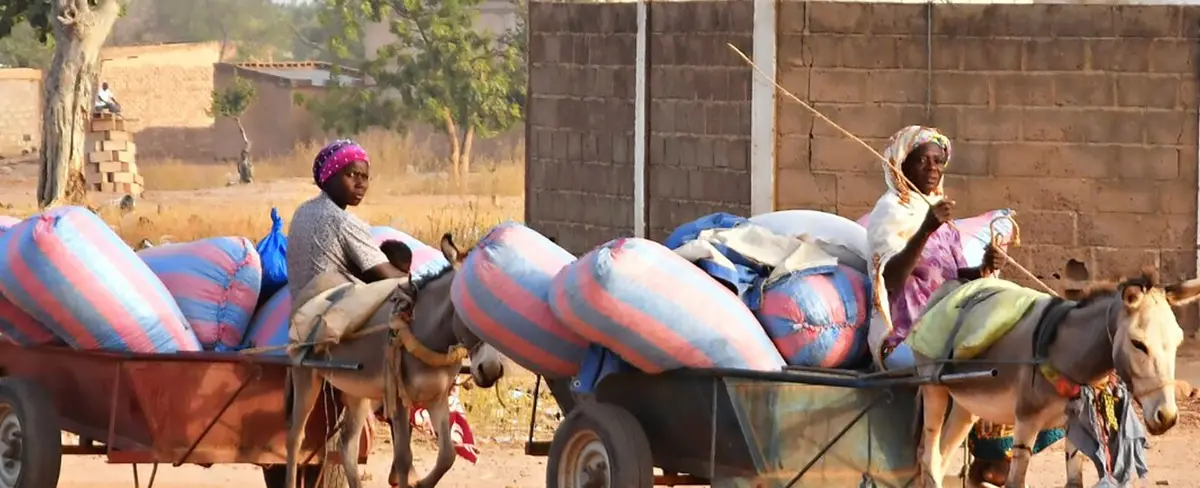 Liberan a 62 mujeres secuestradas en Burkina Faso