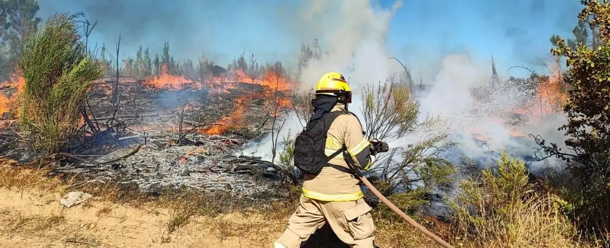 Aumentan a 13 las muertes por incendios forestales en sur de Chile