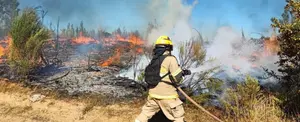 Aumentan a 13 las muertes por incendios forestales en sur de Chile