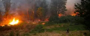 Chile despliega más de 120 aviones para combatir incendios forestales