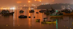 Chile reporta más de 300 incendios forestales activos
