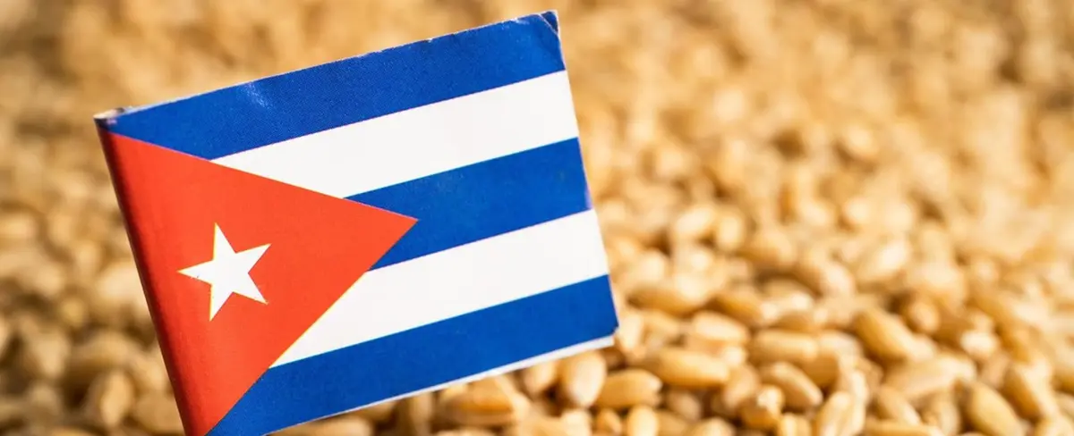 Cuba recibe 25 mil toneladas de trigo donados por Rusia