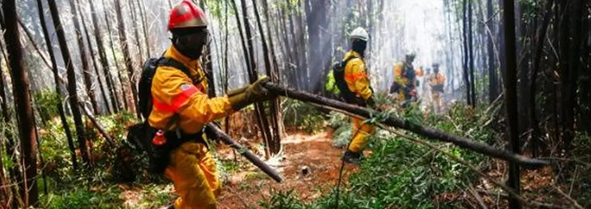 Daños por incendios forestales rebasarían los 600 millones de dólares en Chile