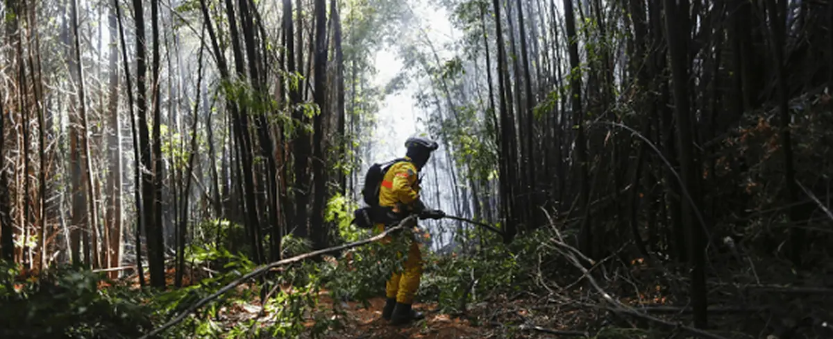 Ascienden a 26 los fallecidos por incendios forestales en Chile