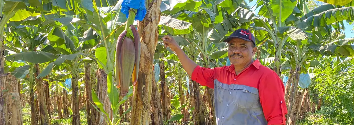 Conoce a Don Rufino, egresado del Inatec que ahora labora como supervisor de riego