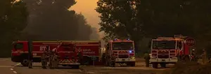 Toque de queda en Chile por incendios forestares que han consumido más de 310 mil hectáreas