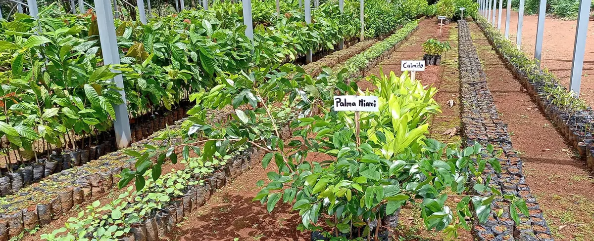 Reinauguran Centro de Desarrollo de Tecnología Agropecuaria en Kukra Hill