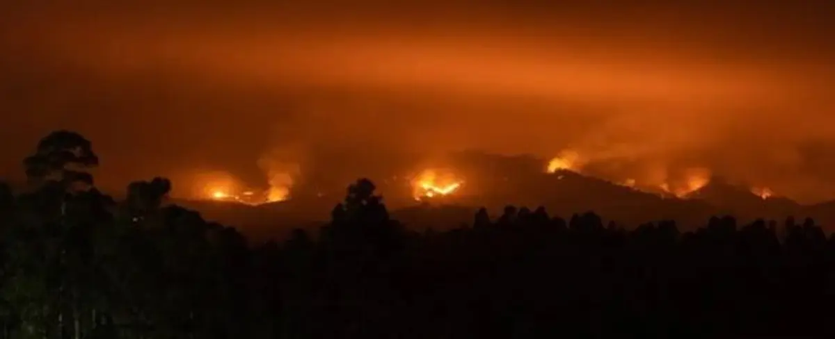 Chile continua en la lucha por extinguir 21 incendios forestales
