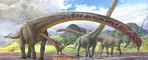 Descubren fósil de dinosaurio con el cuello más largo conocido