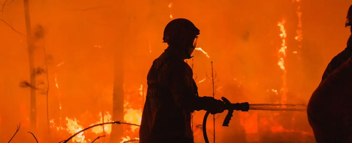Incendio consume más de 3 mil hectáreas de bosques en Argentina
