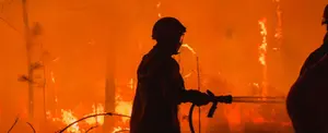 Incendio consume más de 3 mil hectáreas de bosques en Argentina