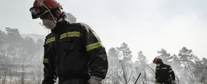 Más de 4 mil héctareas son afectadas por incendios forestales en España