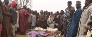 Ataque armado en aldea nigeriana deja 33 fallecidos