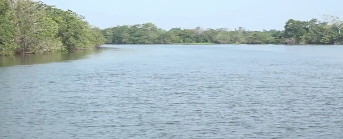 Río San Juan, un impresionante contacto con la naturaleza