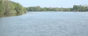 Río San Juan, un impresionante contacto con la naturaleza