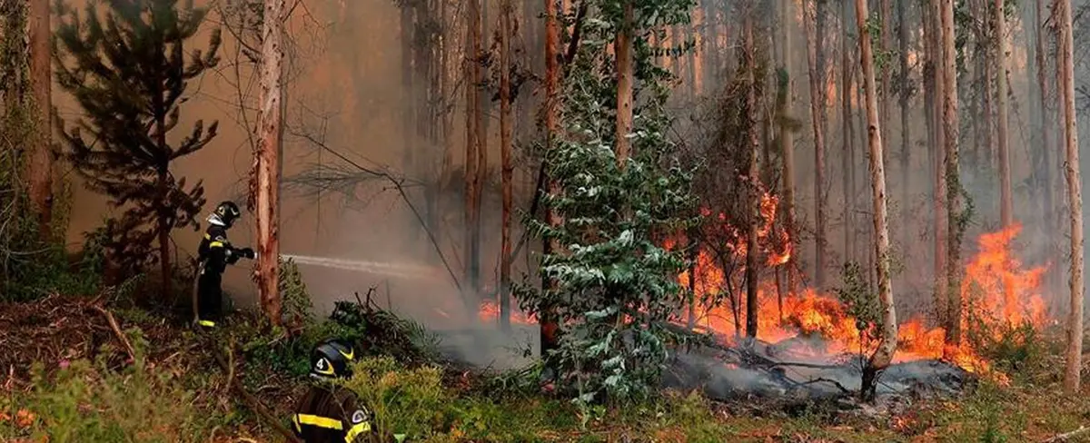 Incendios dejan más de 3.000 hectáreas afectadas en Guatemala