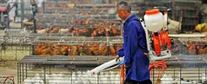 Confirman primer fallecido a causa de gripe aviar en China
