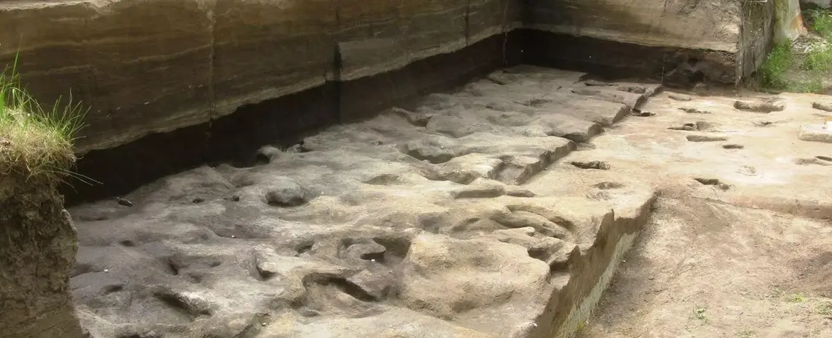 Alemania descubre huellas humanas con más de 300 mil años de antigüedad