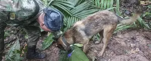 Colombia: encuentran con vida a 4 niños tras 16 días de un accidente aéreo