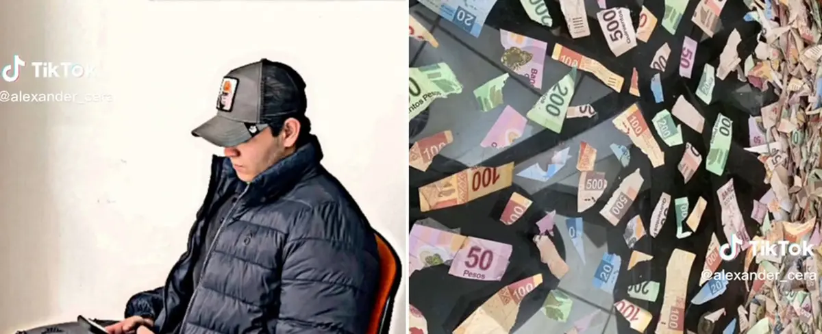 Niña hace pedazos ahorros de su primo pensando que eran papelitos
