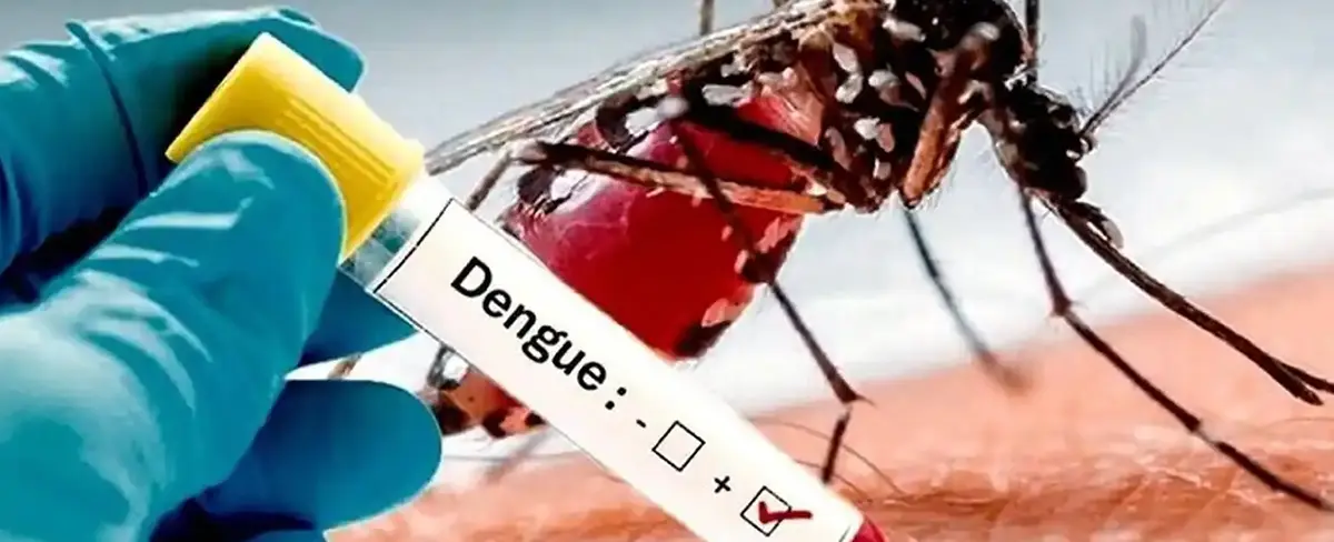 Rusia y Nicaragua crean una vacuna contra el dengue