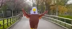 Zoológico en Inglaterra busca personas que se disfracen de pájaro