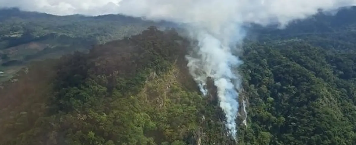 Área protegida boscosa de Panamá gravemente afectada por incendio