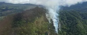 Área protegida boscosa de Panamá gravemente afectada por incendio