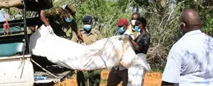 Ascienden a 226 cadáveres hallados en Kenia por prácticas de secta