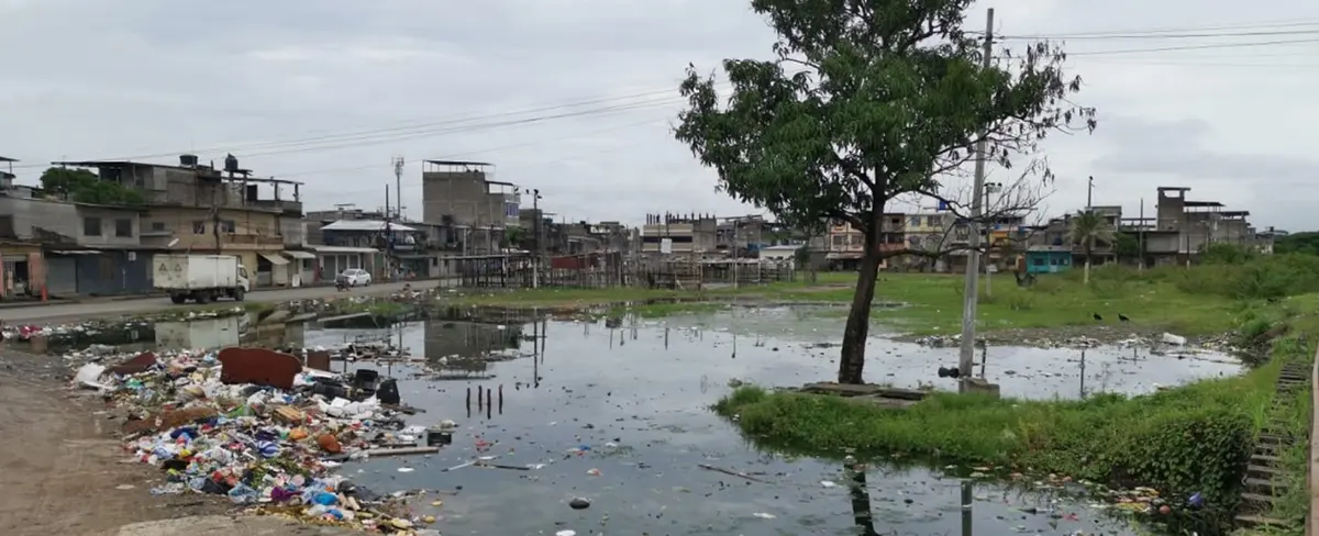 Ecuador: muere una segunda persona a causa de leptospirosis