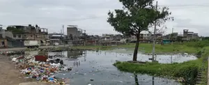 Ecuador: muere una segunda persona a causa de leptospirosis