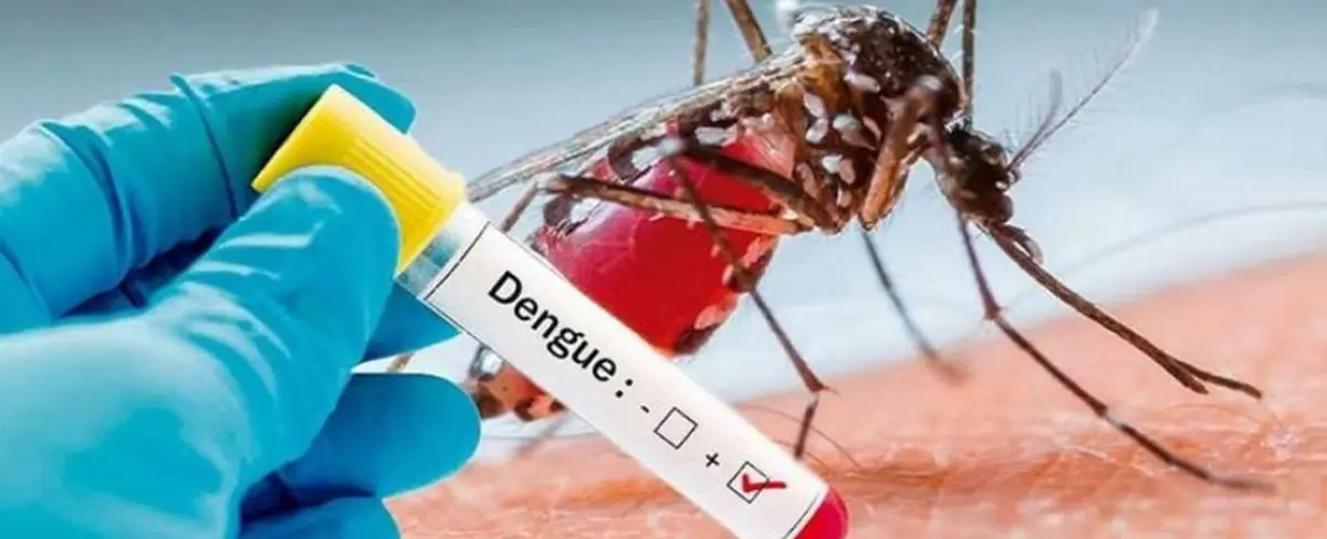 Emergencia Sanitaria en 20 regiones de Perú por dengue