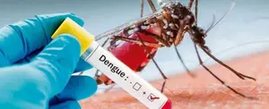 Emergencia Sanitaria en 20 regiones de Perú por dengue