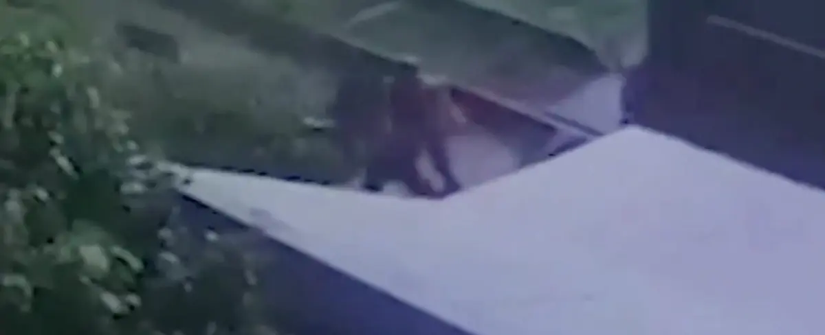 VIDEO: hombre salva a una niña de ser aplastada por un tren
