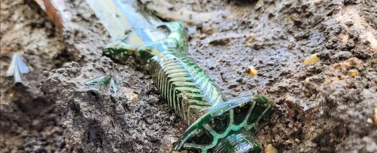 Alemania descubre una espada con más de 3 mil años de antigüedad