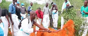 Asciende a 318 cifra de cadáveres hallados en secta cristiana de Kenia